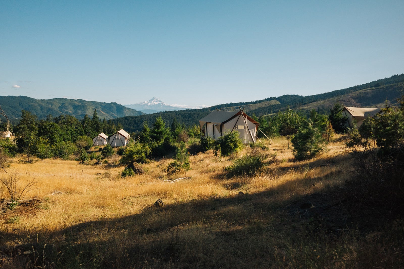 Under Canvas Columbia River Gorge review Under Canvas Columbia Gorge Tents with Mt. Hood in the distance