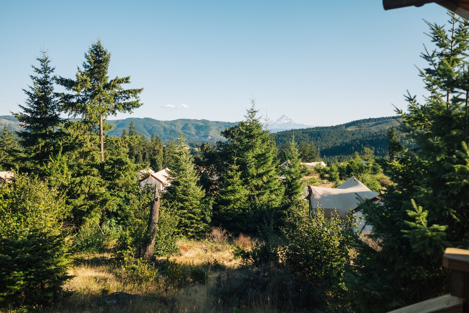 glamping tent with woods in the background