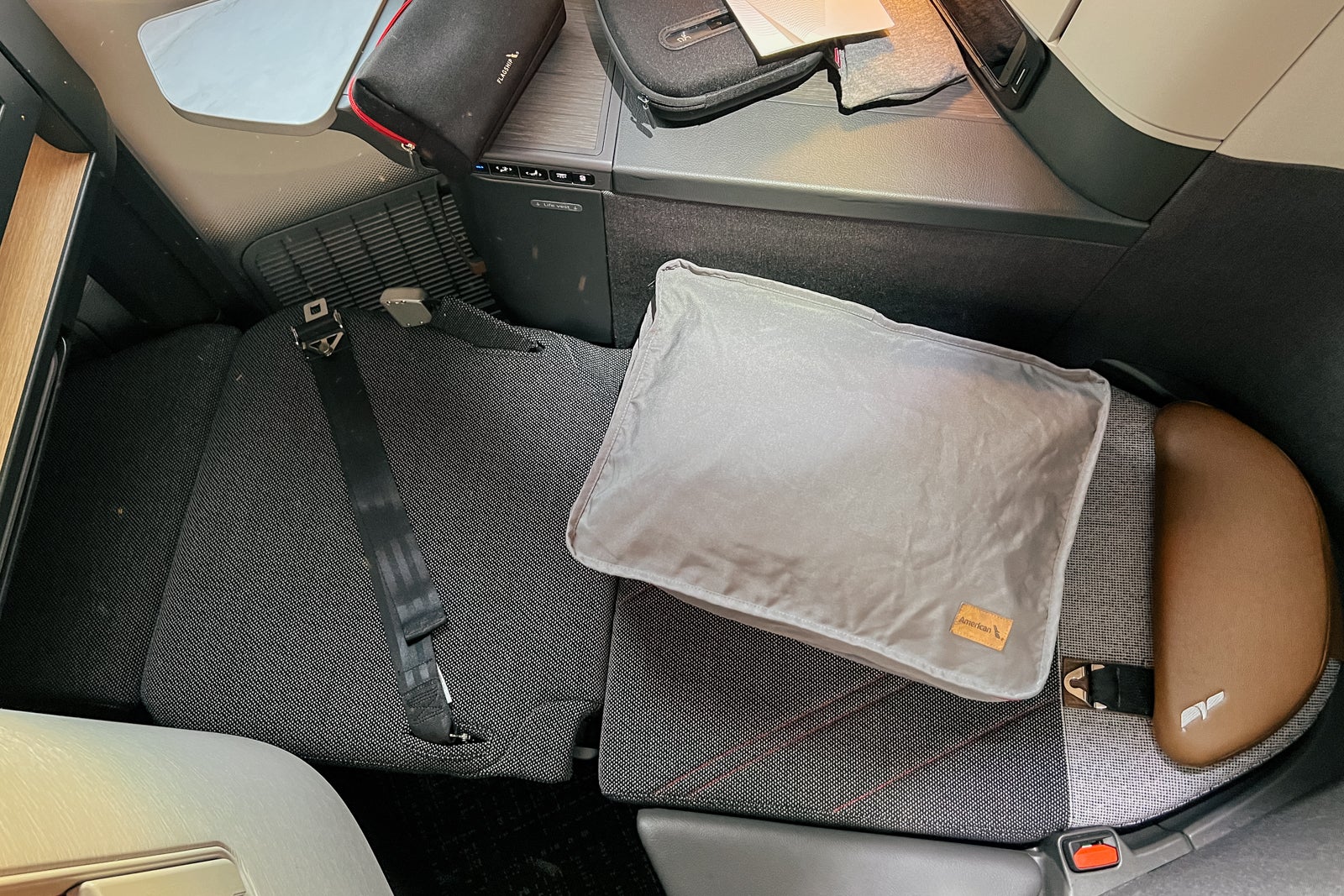 AA business class