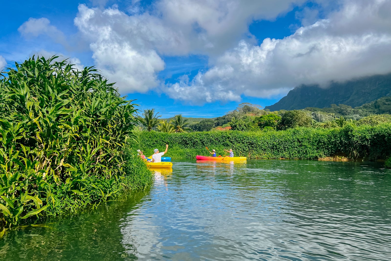 Kayaking on the Faaroa River in Raiatea