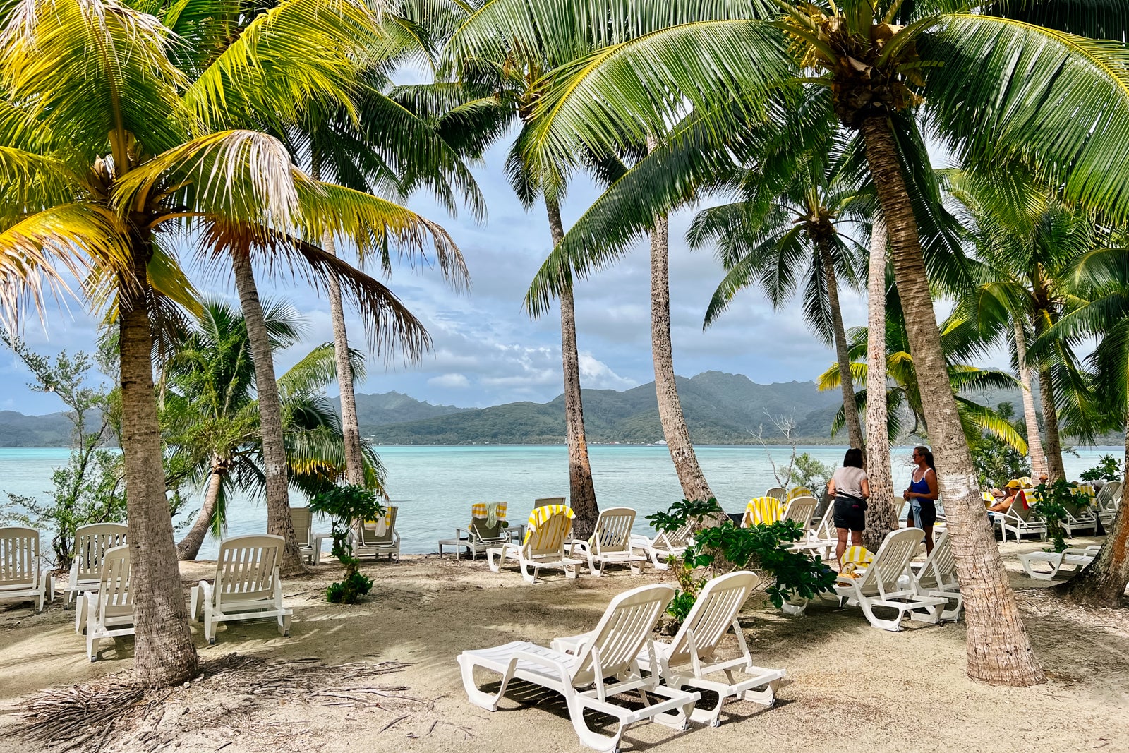 Lounge chairs overlooking the shallow lagoon at Motu Mahana.