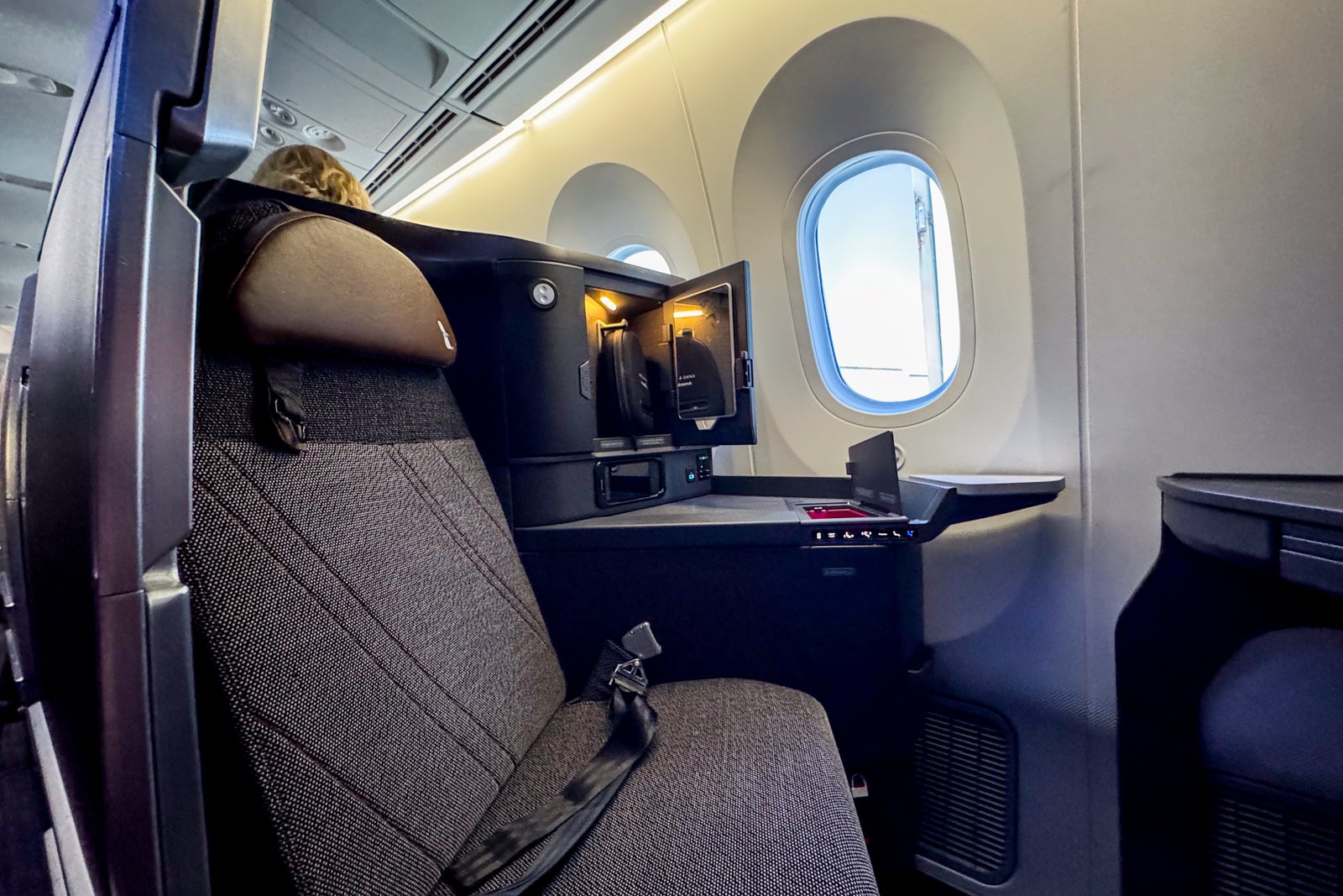 American Airlines' new Flagship Suite business class review flagship suite