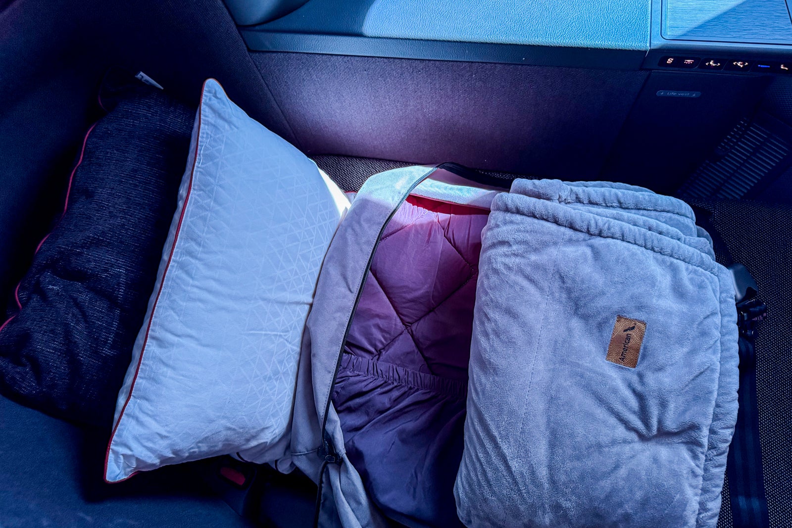 American Airlines Flagship Business Suite Preferred