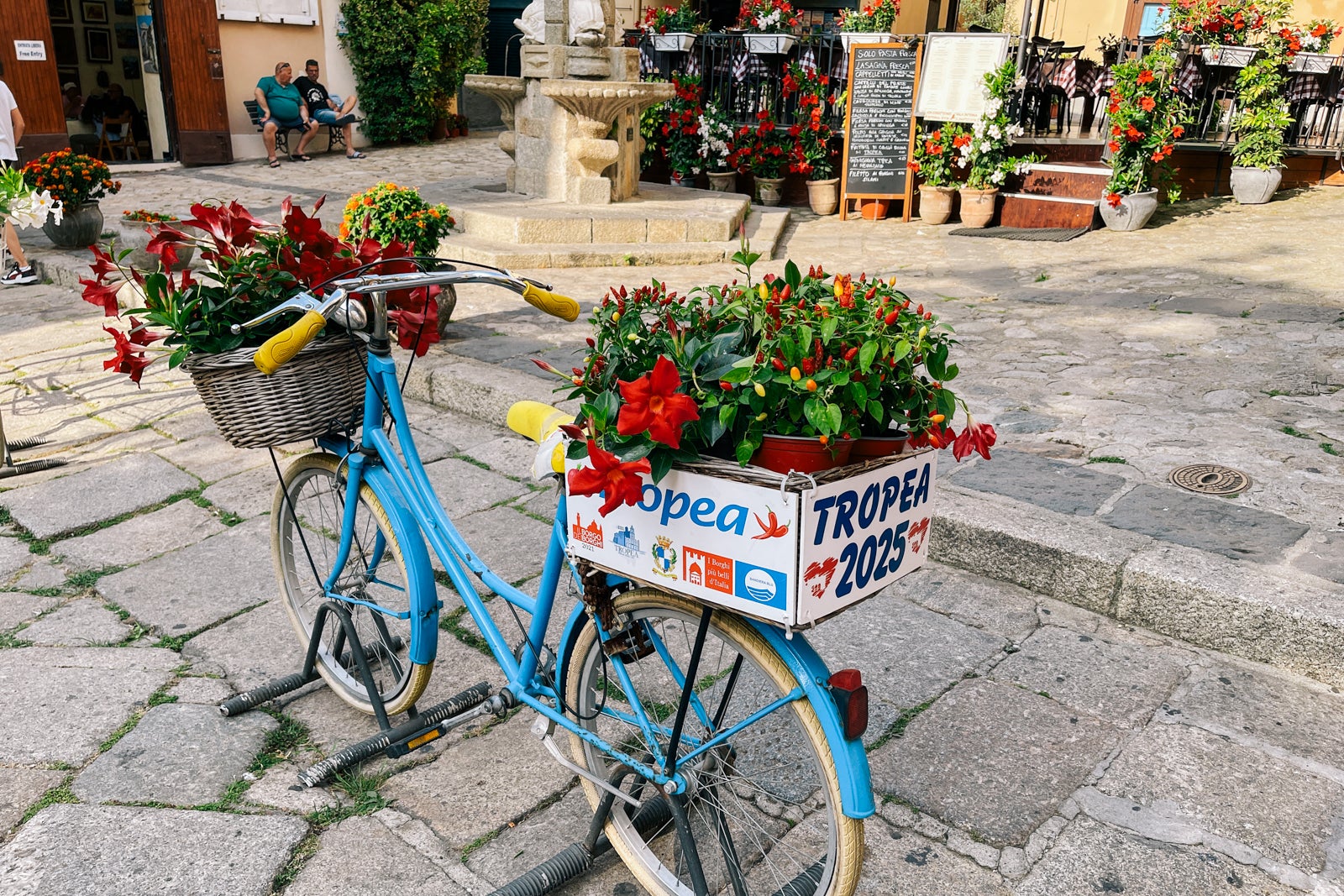 Here's why you should go to Calabria instead of Rome or Milan Blue bike with flowers and the words "Tropea" on it.