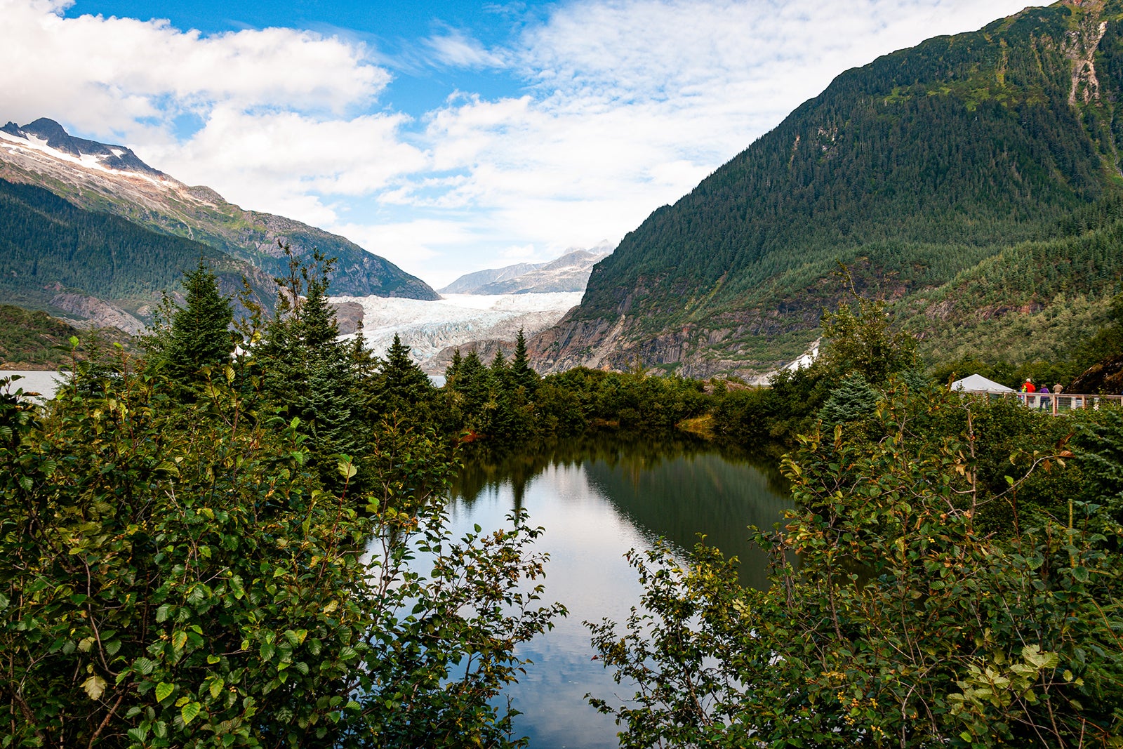 Views of the Mendenhall glacier in southern Alaska