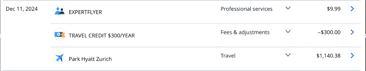 Screenshot of the CSR travel credit