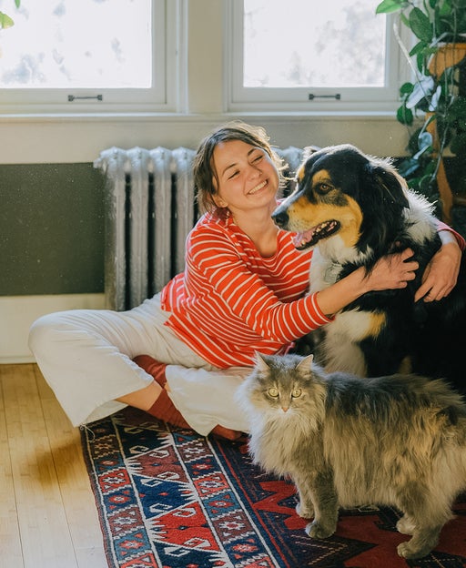 Woman playing with dog and cat at home