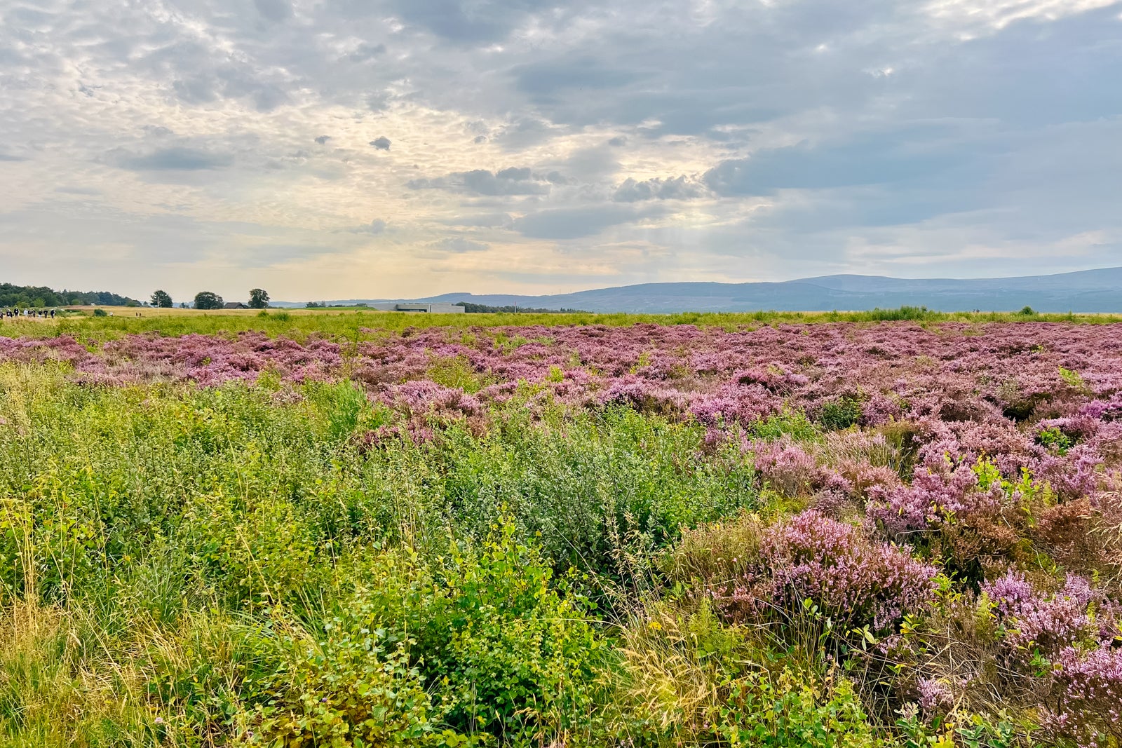 Scottish clans charged across this moor at Culloden in what was the last pitched battle on British soil.