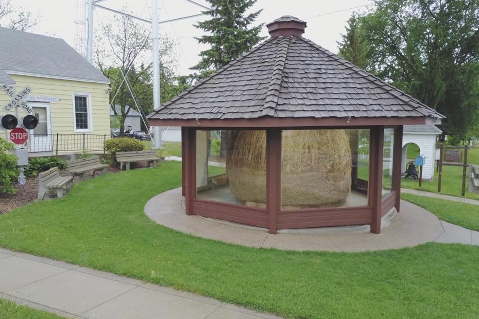 Darwin twine ball on display