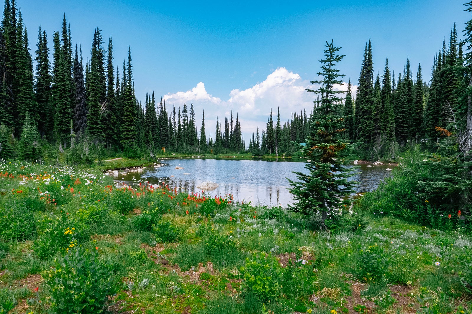 Meadows in the Sky Parkway takes you to Balsam Lake in Revelstoke National Park Canada