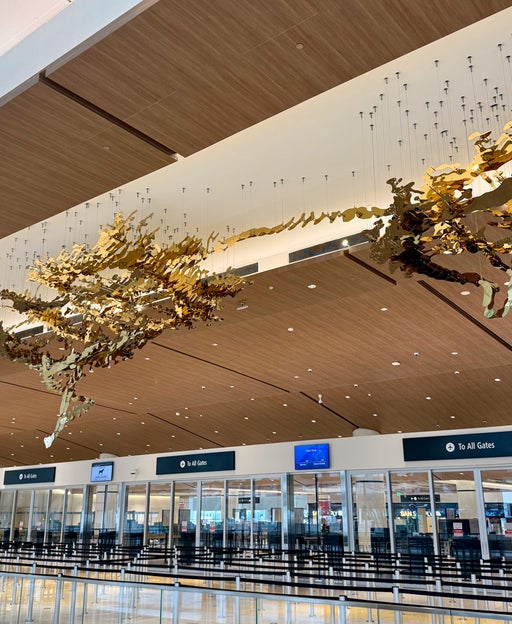 San Diego's new Terminal 1 shines in big debut, comes with new lounges
