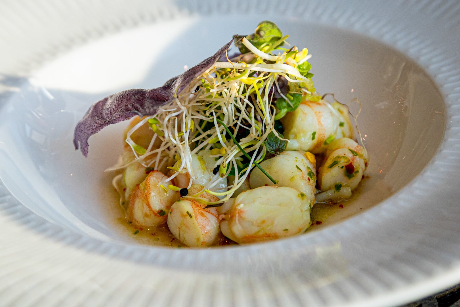 AmaLucia Chef's Table
