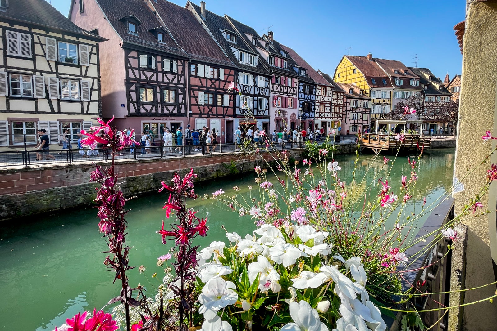 Beautiful canal and houses in Colmar, France on an AmaWaterways river cruise