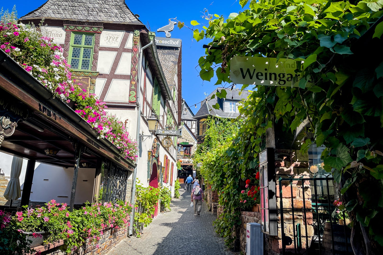 Dosselhof, a pretty street in Rudesheim, Germany