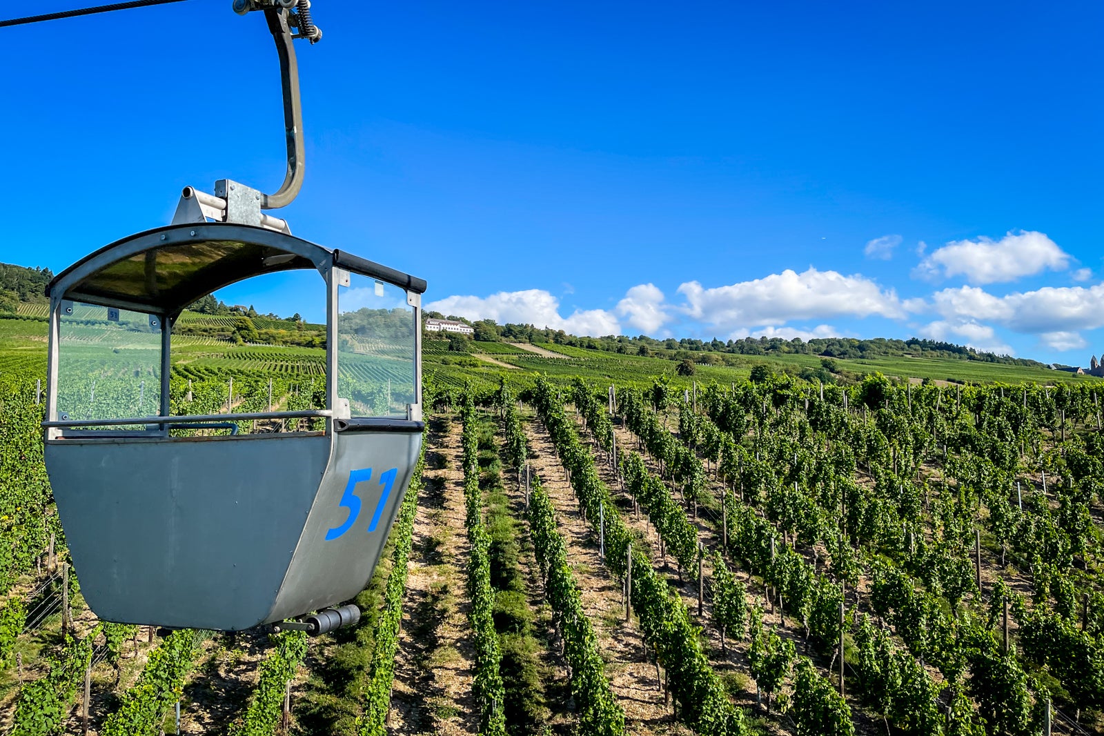 View of Rudesheim's vineyards from the gondola