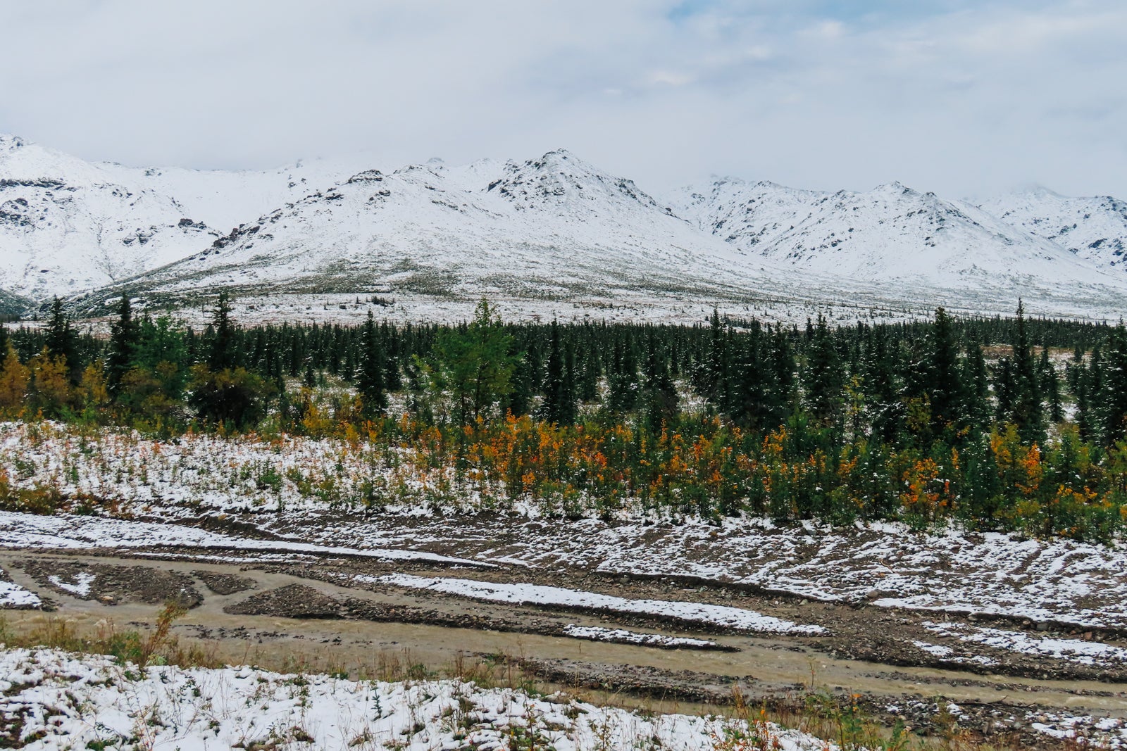 Mountains with snow in Denali National Park.