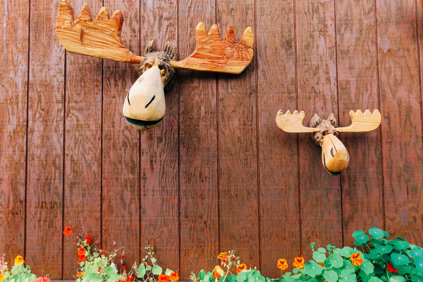 carved wooden moose heads