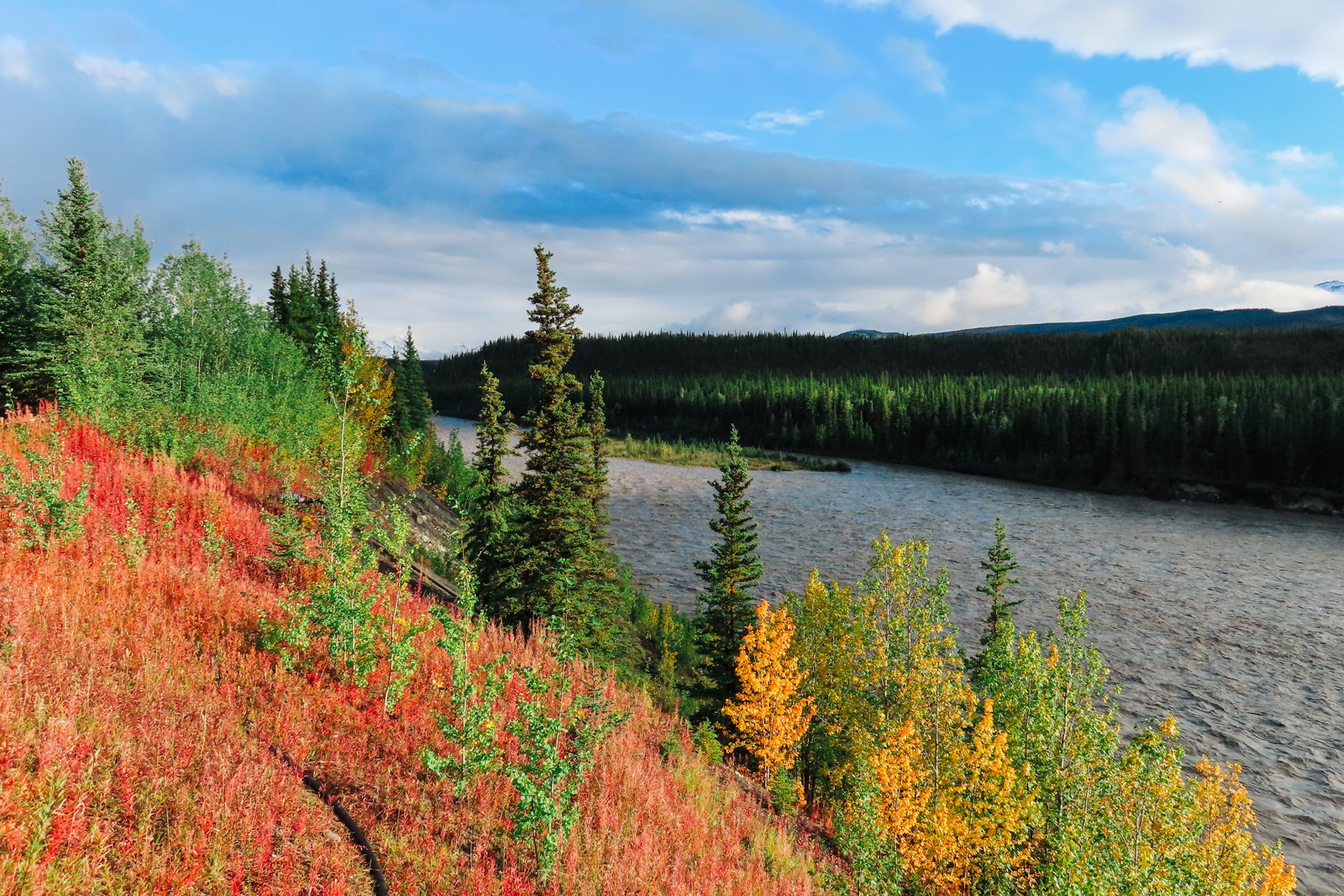 river view with forest