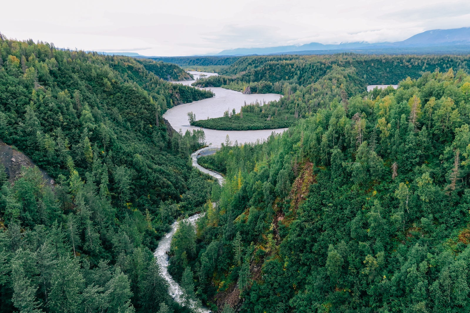 view of river and forest
