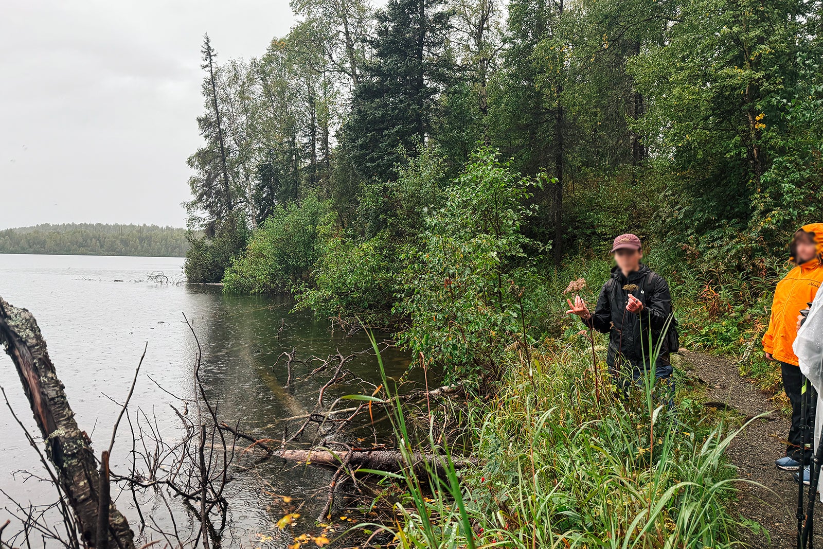guide on lake with forest