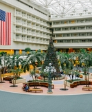 Holiday travel 2025: Americans think they waited too long to book, but there's still time
