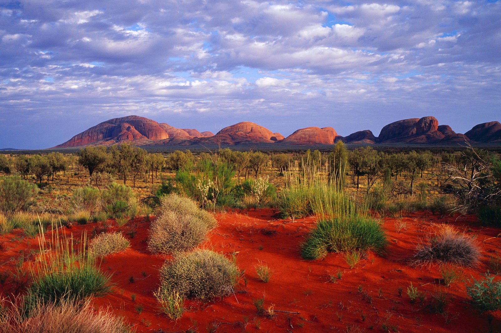 Uluru-Kata Tjuta National Park, Northern Territory, Australia, Australasia