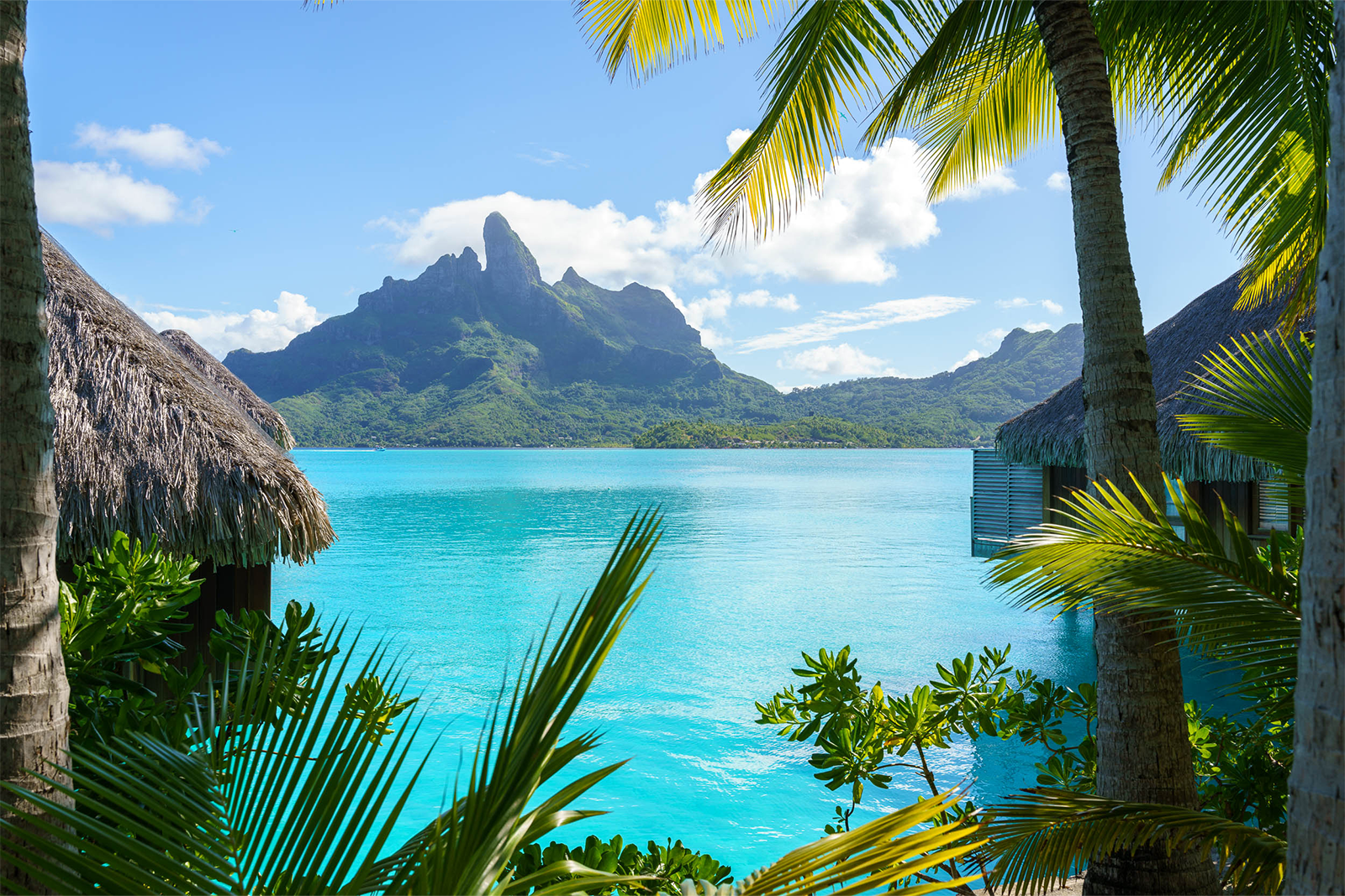 Air Tahiti Nui Just UNLEASHED Paradise Class – You Won't Believe This!