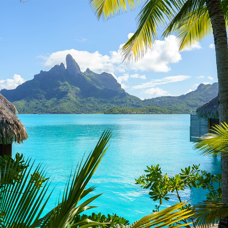 Meet Mānava Premium: Air Tahiti Nui’s new and improved premium cabin