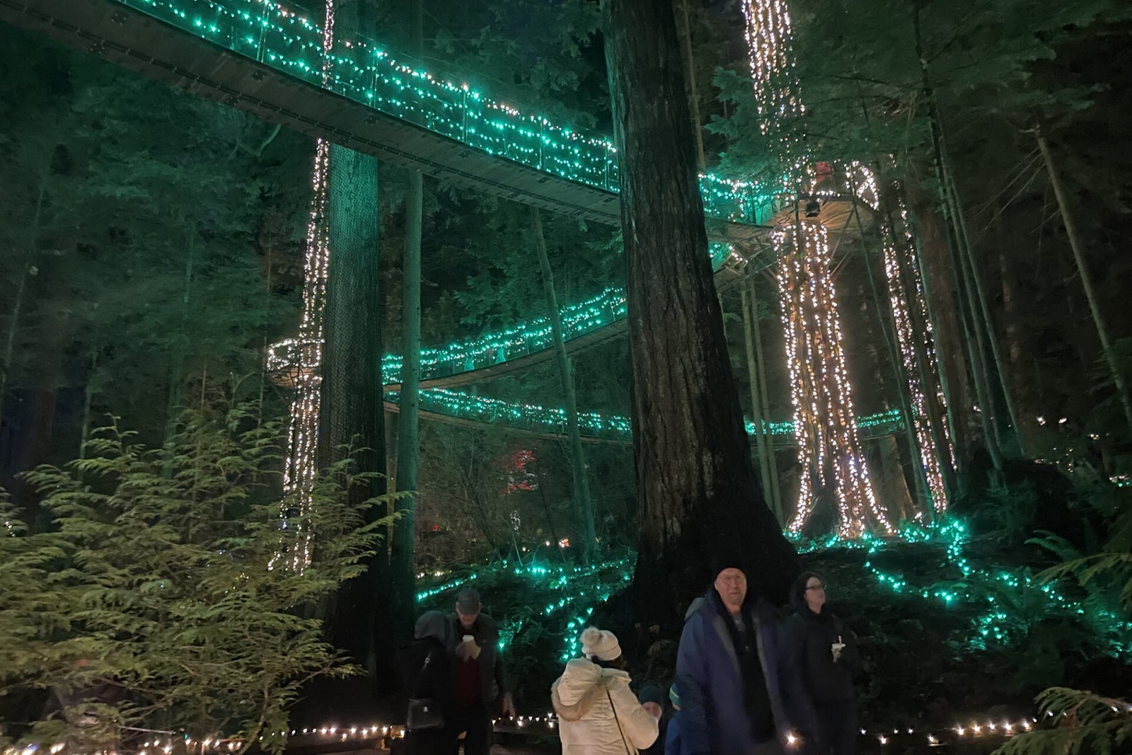 A portion of the Capilano Suspension Bridge Park, lit with green and white lights
