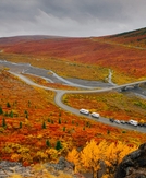 6 amazing excursions you’ll only find on an Alaska cruisetour