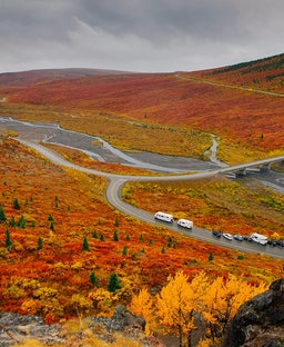 6 amazing excursions you’ll only find on an Alaska cruisetour