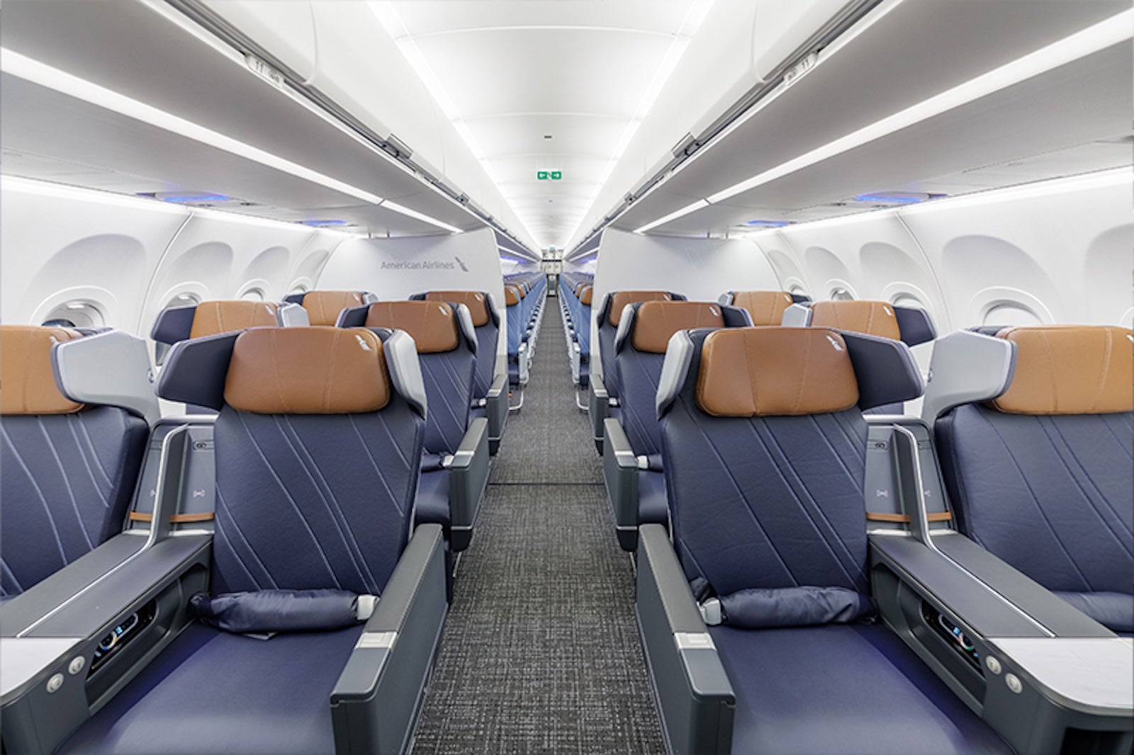 Finally! American's posh new plane set to debut just in time for the holidays
