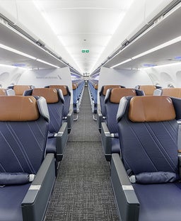 Finally! American's posh new plane set to debut just in time for the holidays
