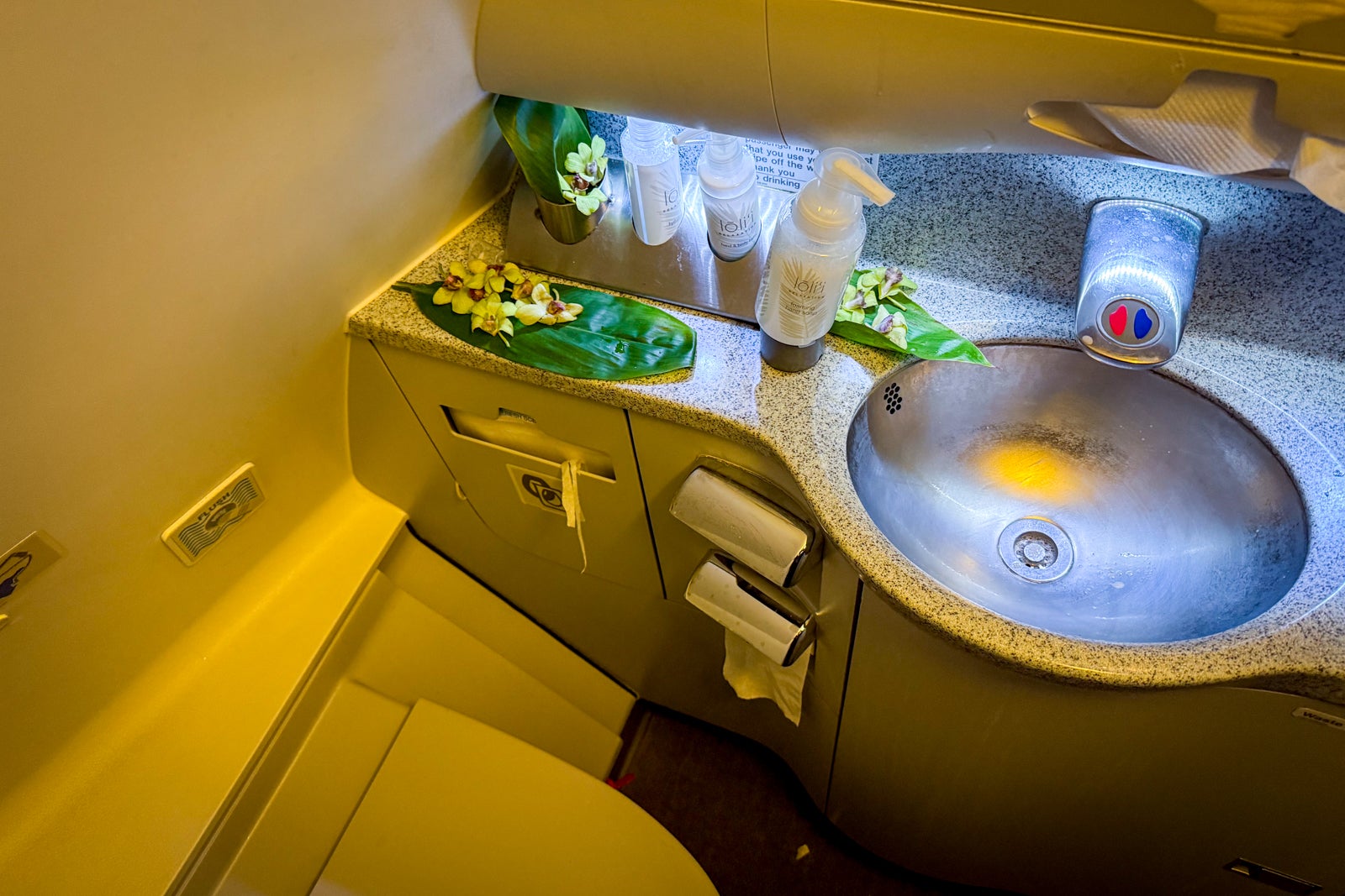 hawaiian airlines plane