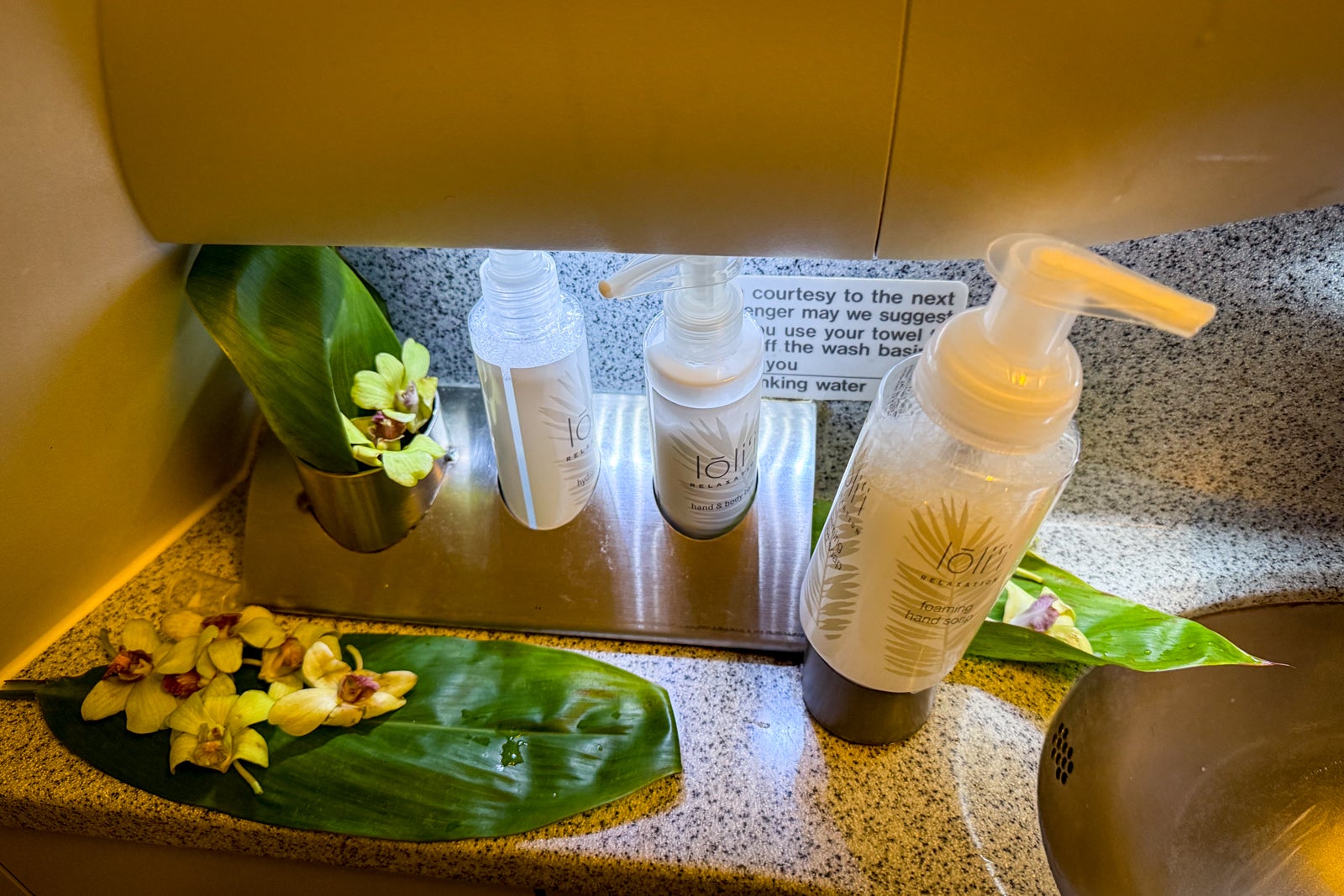 hawaiian airlines plane