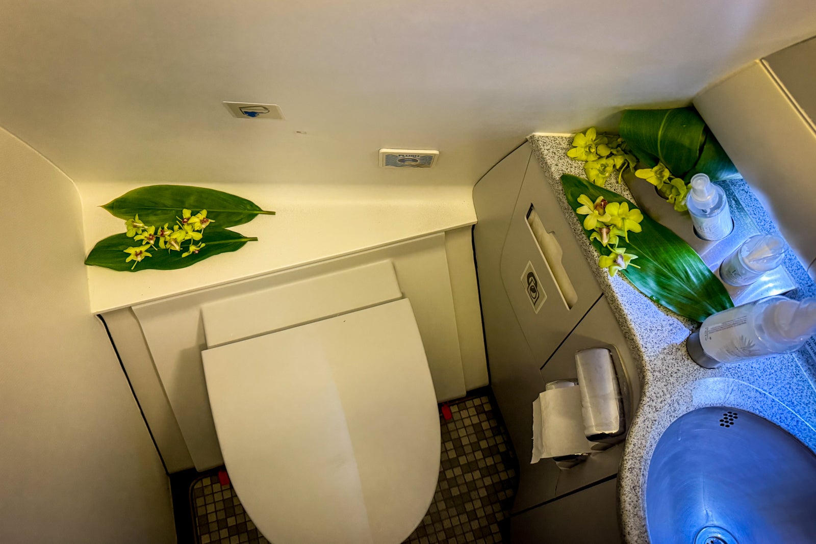 hawaiian airlines plane