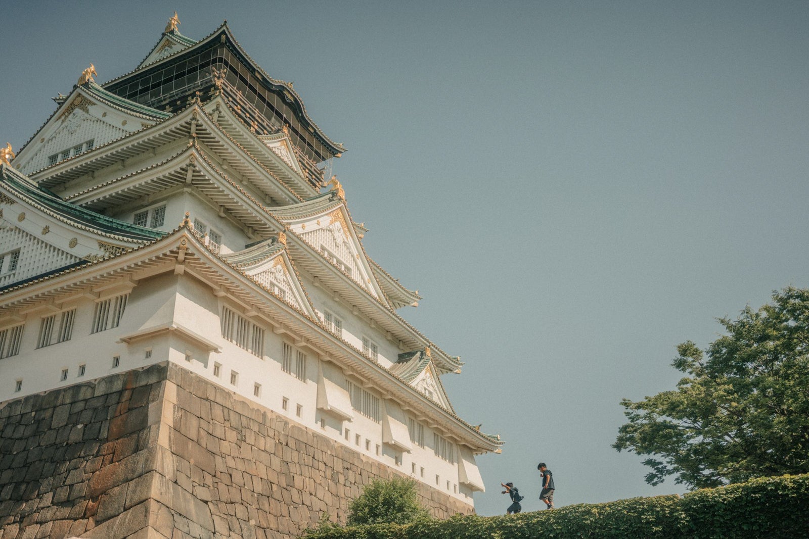 How AI is transforming the future of travel