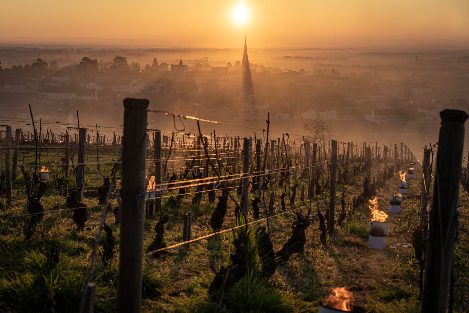 Frost in Burgundy and workers lighting up candles to protect the vineyards and vines from cold damage. In Meursault and Montrachet, Burgundy, France.