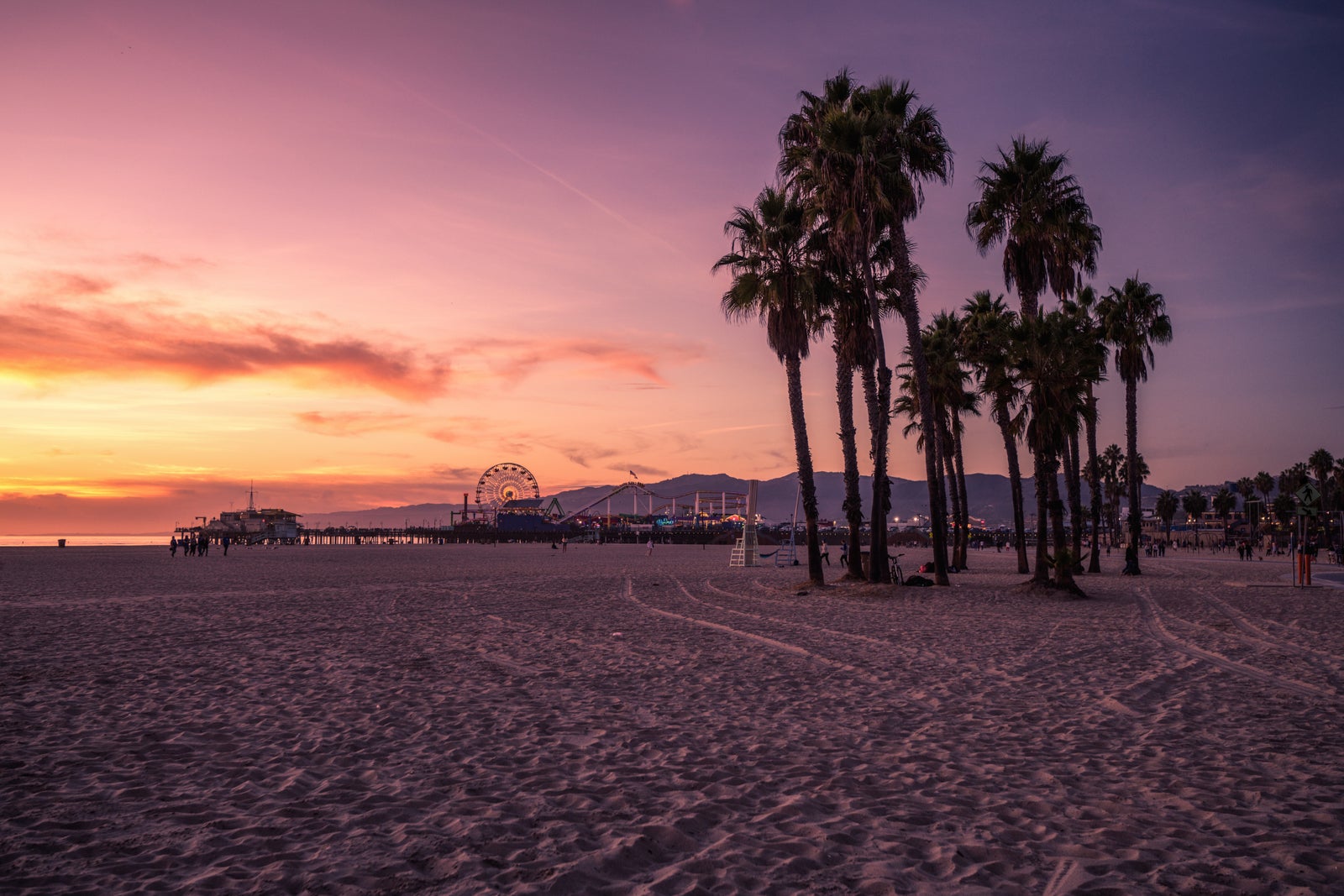 Palm trees and Santa Monica Pier during sunset in Los Angeles, California