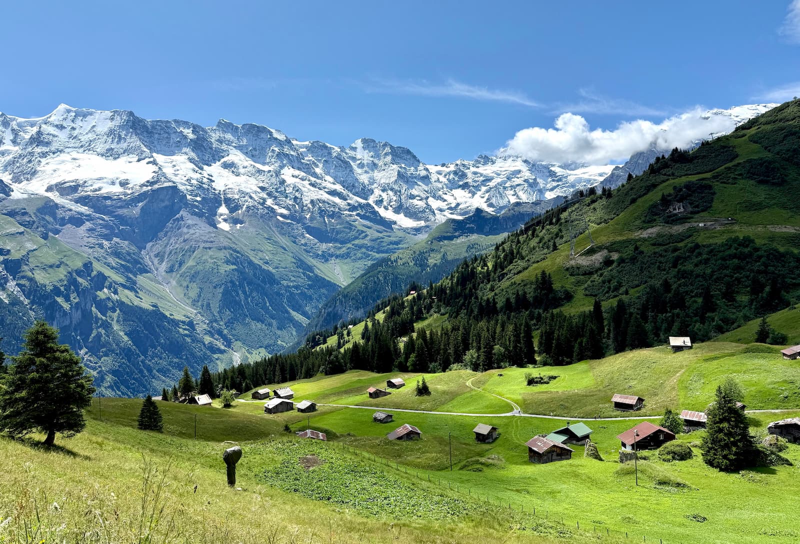 Snowcapped mountains with blue skies and green grass
