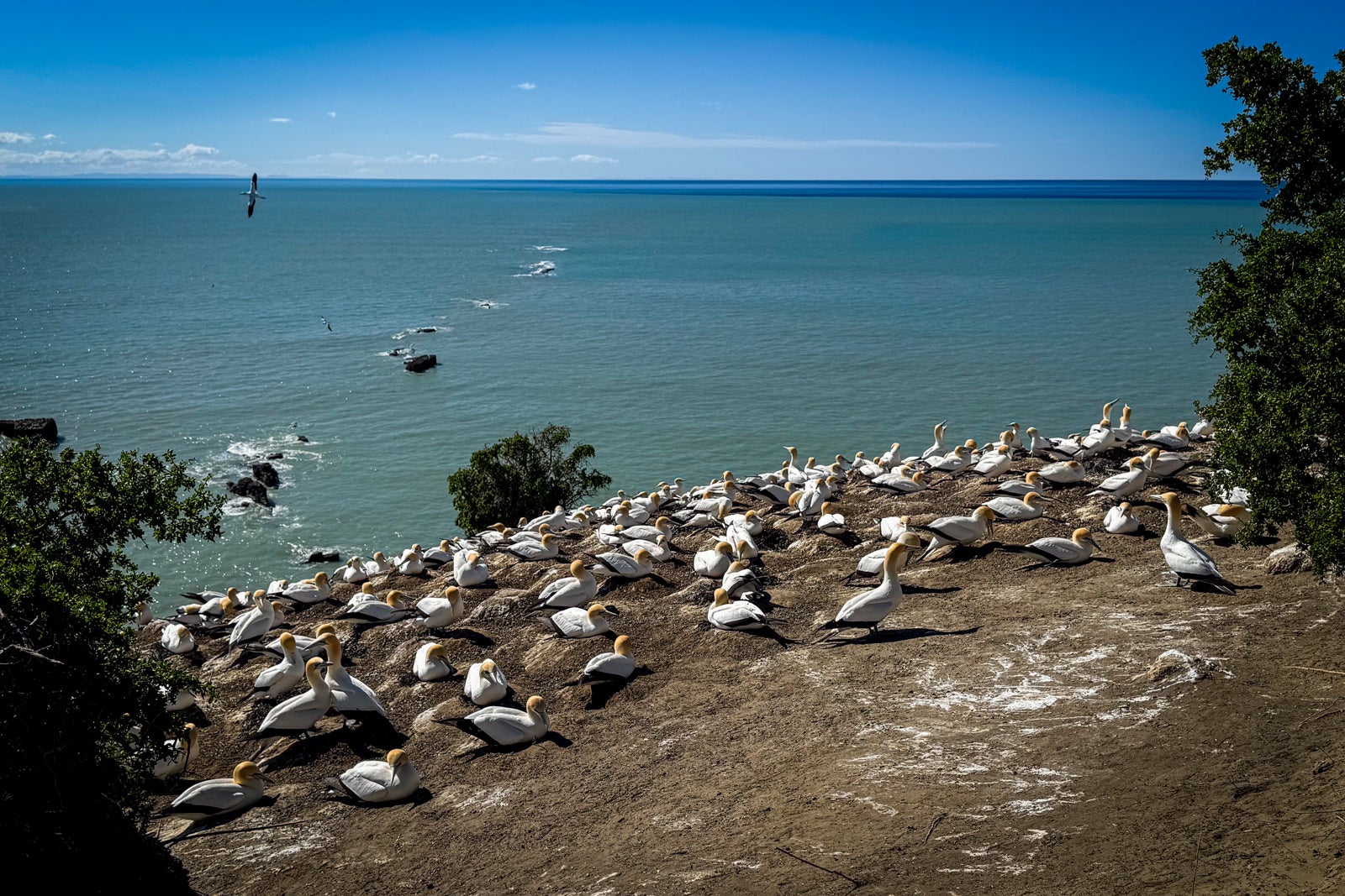 Rosewood Cape Kidnappers