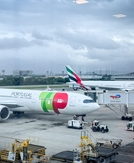 The 8 best credit cards for booking flights