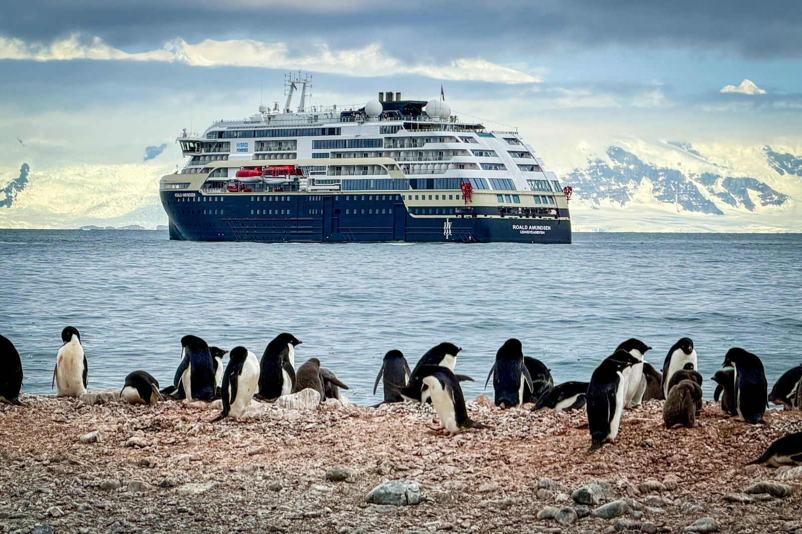 Penguins along the beach at Antarctica's Pourquoi Pas Island.