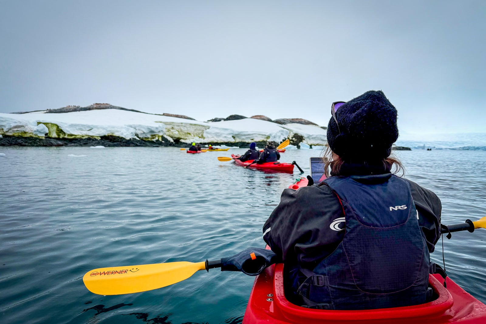 Roald Amundsen passengers kayaking in Antarctica.
