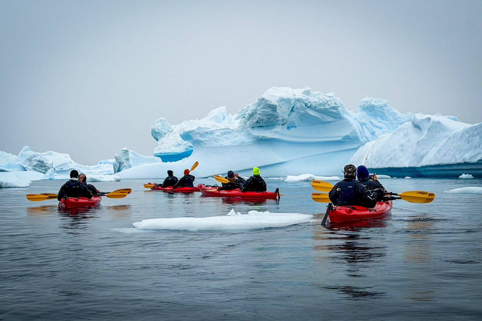 ANTARCTICA UNLOCKED: Dare to Explore the Frozen Continent!