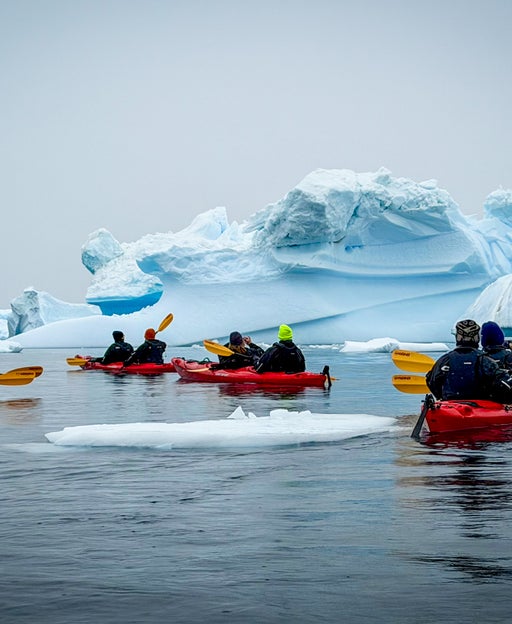 Passengers from the HX Expeditions ship Roald Amundsen kayak around floating ice in Antarctica.