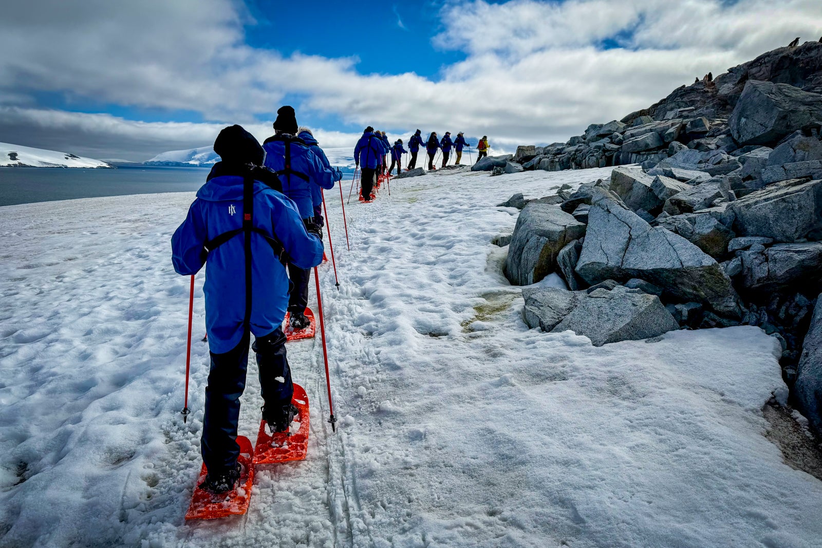 Passengers from the expedition cruise ship Roald Amundsen snowshoe in Antarctica.