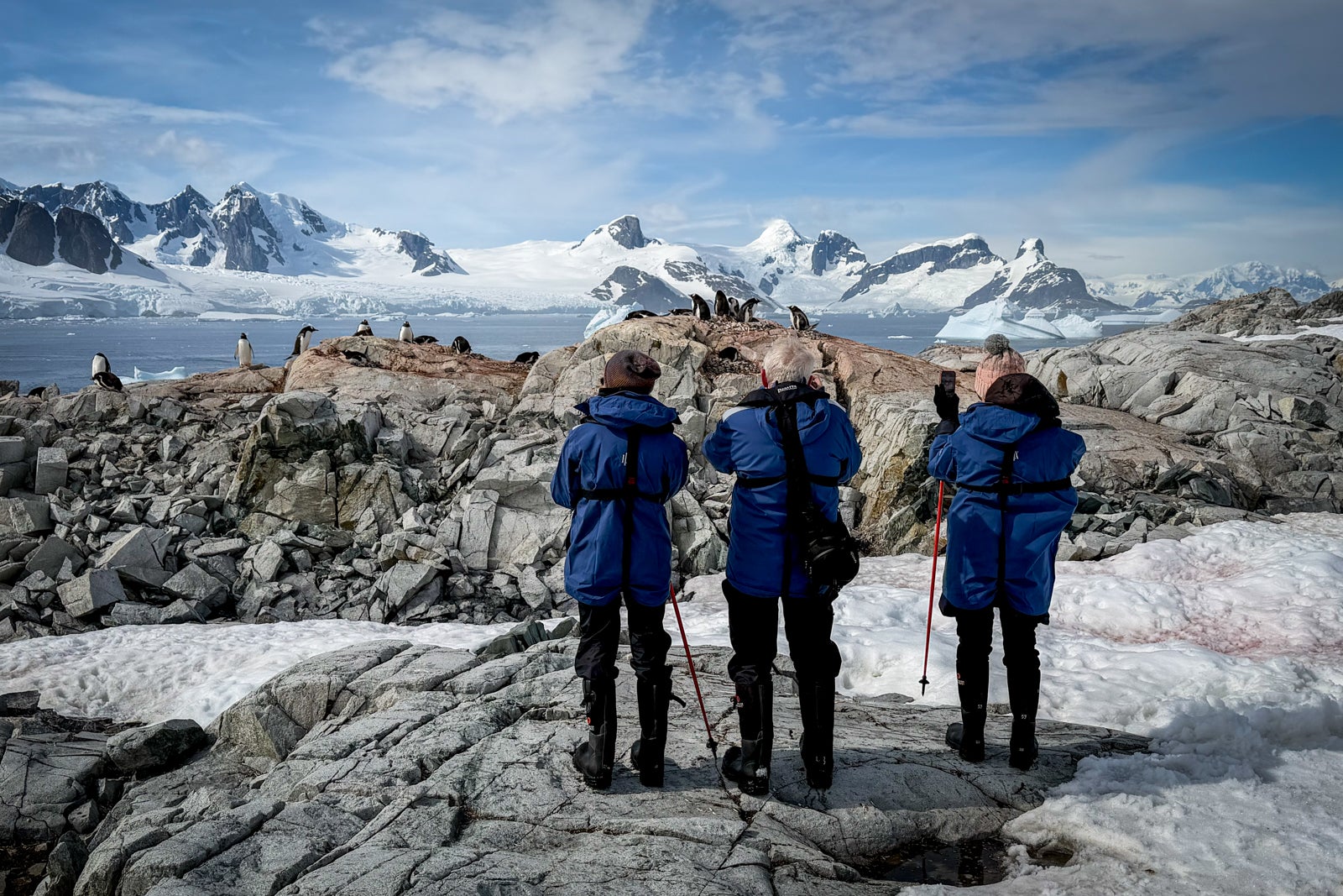 Roald Amundsen passengers gaze upon penguins during a landing at Petermann Island.