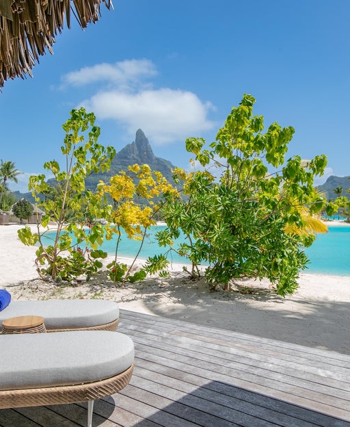 A Seattle Hilton flips to Hyatt, Airbnb's celebrity chefs, IHG's first Ruby in the US and other hotel news