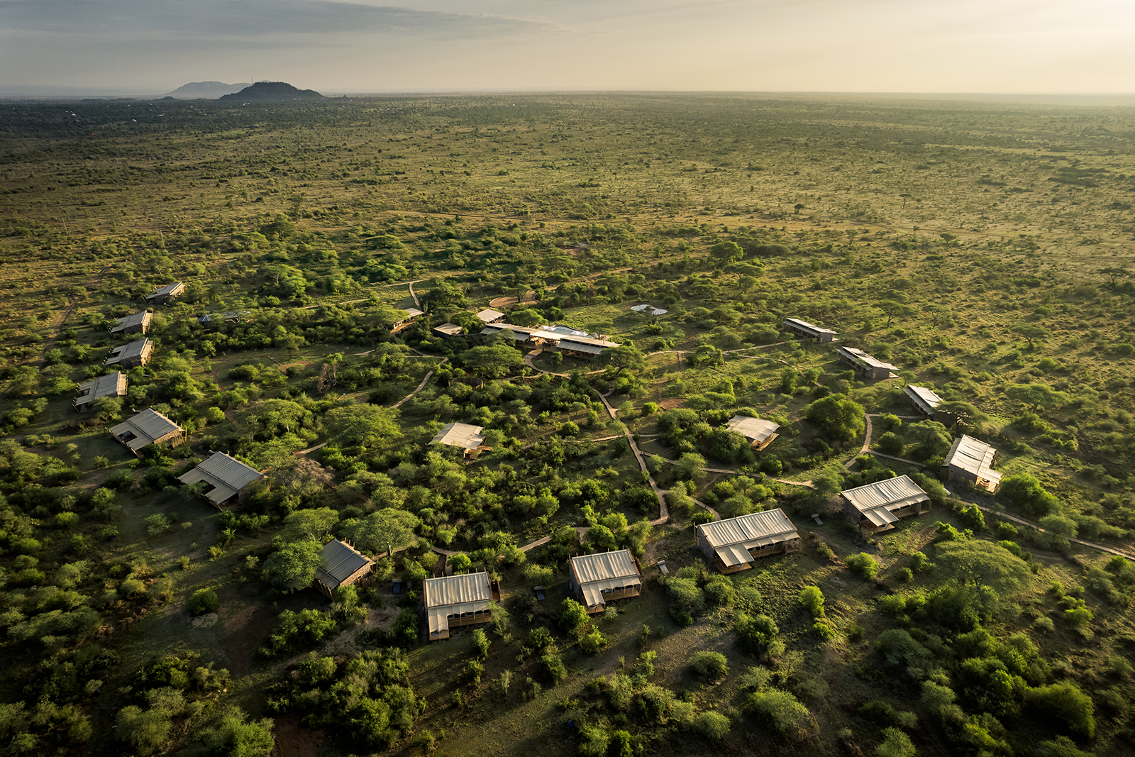 SAFARI DREAMS UNLOCKED: Marriott Just Dropped a Luxury Escape—Book NOW!